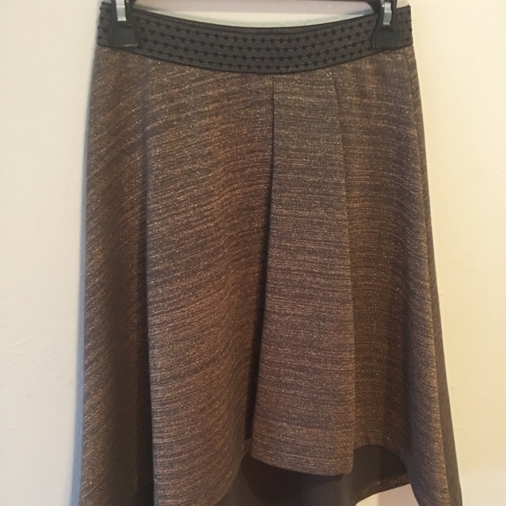 Gorgeous Skirt